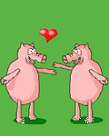 pic for Pigs Love
